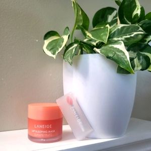 Laneige Lip Sleeping Mask (grapefruit)